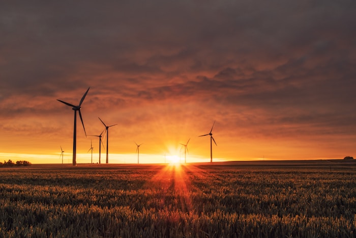 Wind turbines in Canadian landscape at sunset